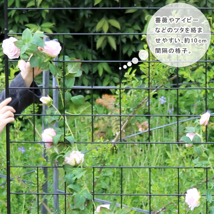 ガーデンフェンス アイアン 高さ126cm 2枚組 グリーンカーテン ガーデニング 目隠し ベランダ バラ 枠 仕切り 支柱 庭 ガーデン 柱 ガーデニングフェンス ガーデニング雑貨 花壇 目隠し フェンス ゲート 遮光 トレリス アンティーク風 ラティス 仕切り ラティスフェンス