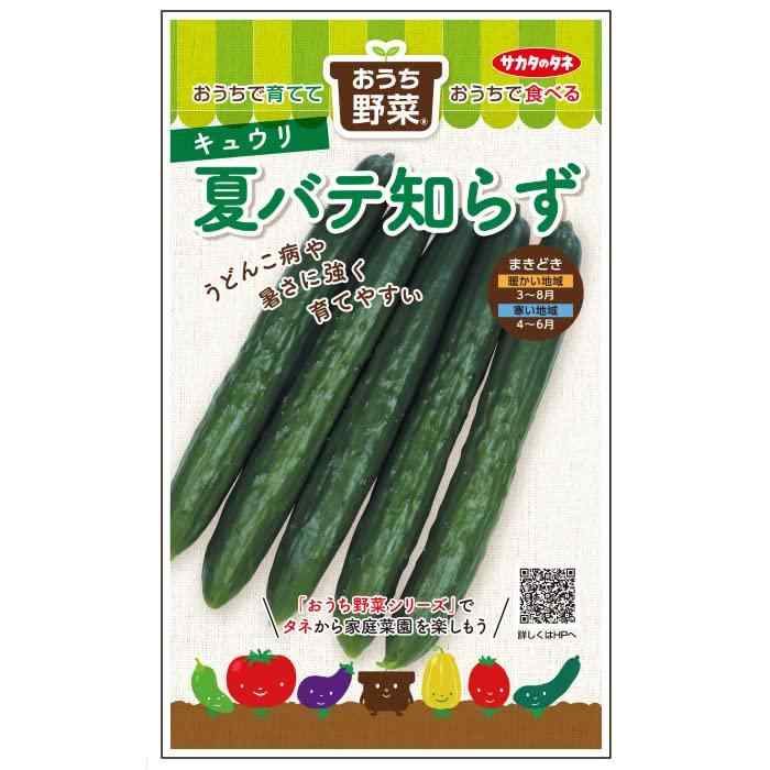 【楽天市場】サカタのタネ おうち野菜:sinkouecomart
