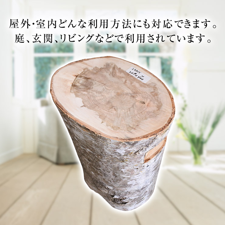 楽天市場 有 エース 白樺の原木丸椅子 直径16 18cm 高さ40cm 飯島町営業部