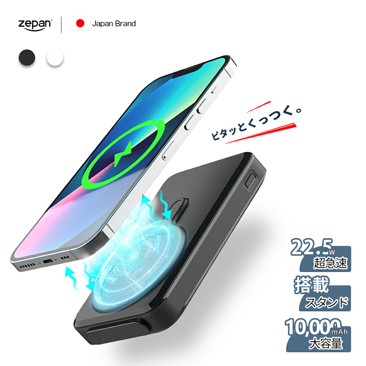 zepan-w100pd.jpg