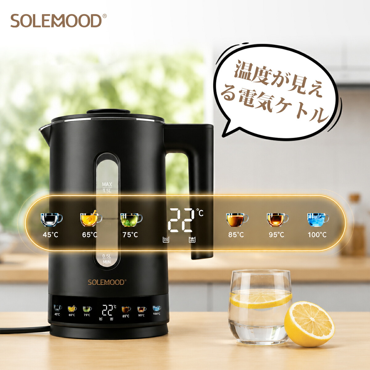 ERWAY電動助けること銀輪特集