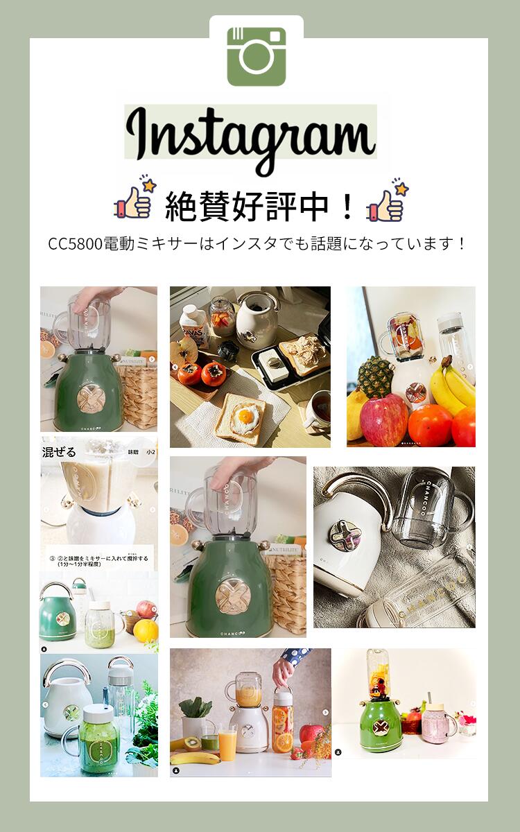 市場 送料無料 電動ミキサーミキサー スムージーメーカー 小さい 離乳食 小型 ジューサー ジュース 氷も砕ける かき氷機 スムージー