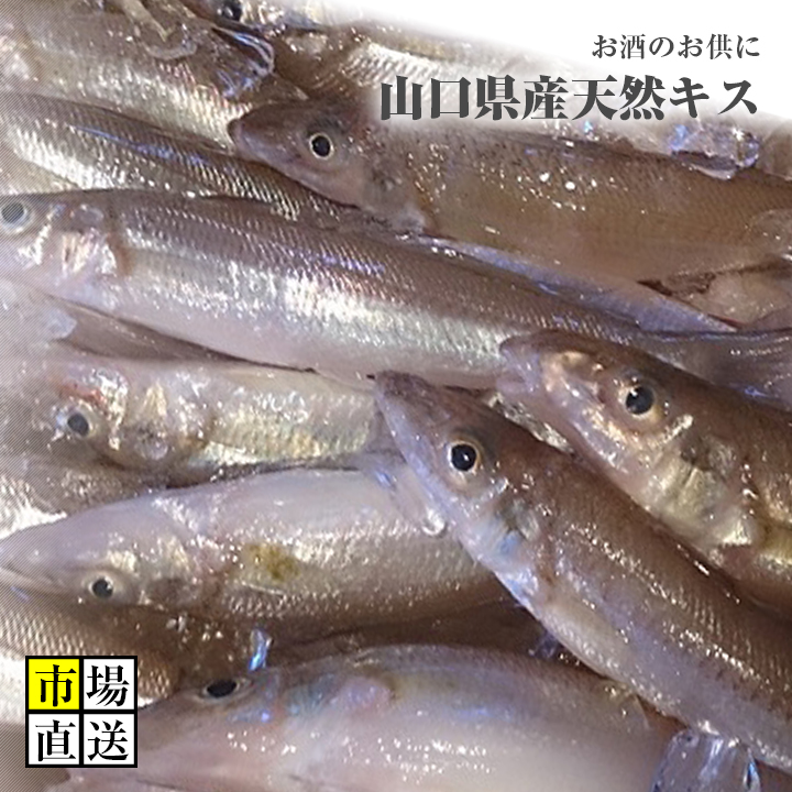 市場】メゴチ・メコチ（1kg）激安 : 新鮮魚宇丸