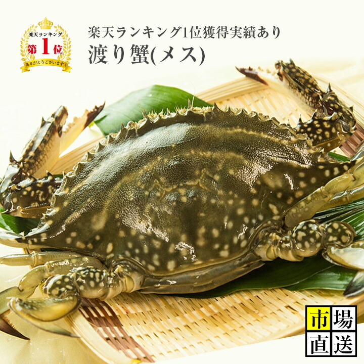 【楽天市場】カニ！超新鮮！獲れたての活き締めワタリガニ(メス)超特大1尾(600ｇ以上)びっくりするほど大きいサイズ！どこにも負けません！ :  新鮮魚宇丸