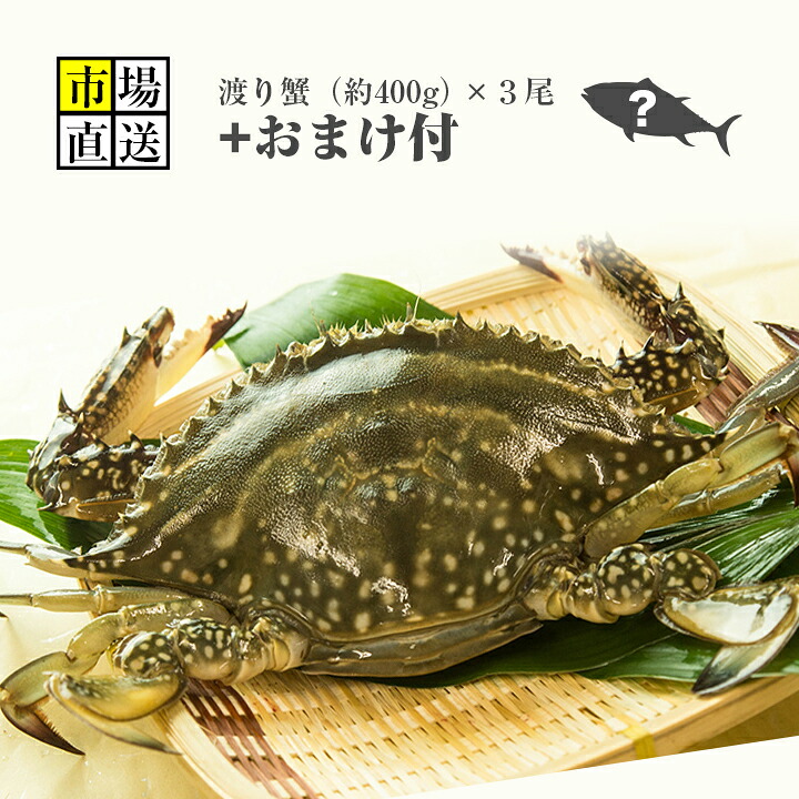 楽天市場 カニ 超新鮮 獲れたての活き締めワタリガニ メス 超特大1尾 600ｇ以上 びっくりするほど大きいサイズ どこにも負けません 新鮮魚宇丸
