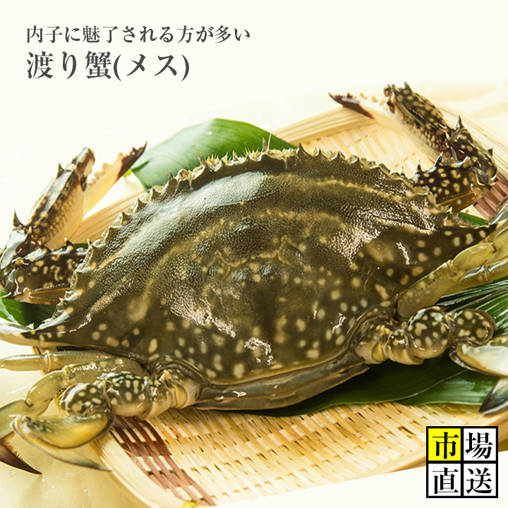 楽天市場 カニ 超新鮮 獲れたての活き締めワタリガニ メス 超特大1尾 600ｇ以上 びっくりするほど大きいサイズ どこにも負けません 新鮮魚宇丸