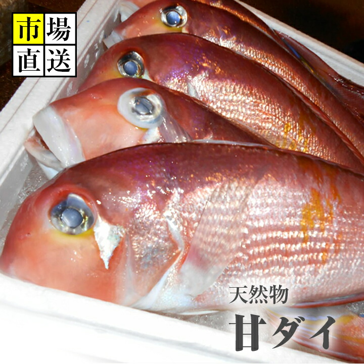 楽天市場 甘ダイ アマダイ甘鯛 赤アマダイ 400ｇ 550ｇ １入り 新鮮魚宇丸