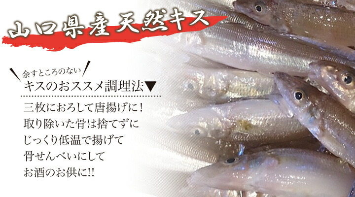 楽天市場 天然きす キス キスゴ開き 瀬戸内産 １０尾 新鮮魚宇丸