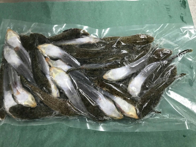 楽天市場 メゴチ メコチ 1kg 激安 新鮮魚宇丸