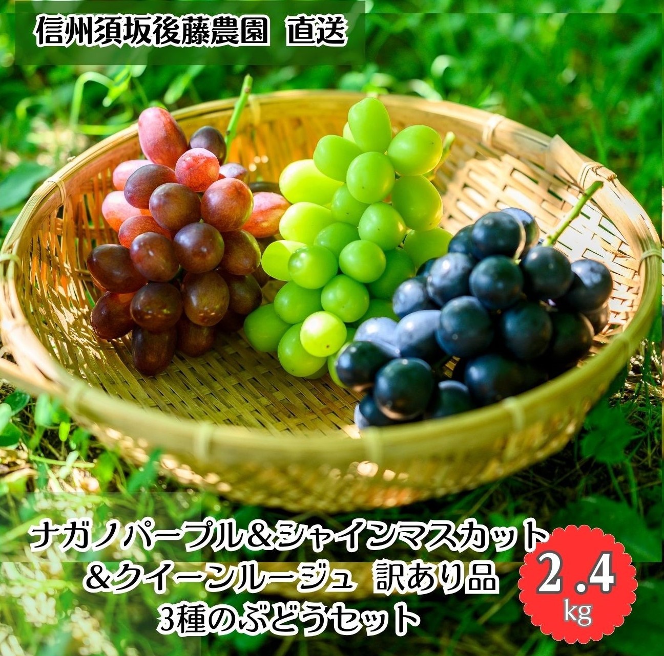 楽天市場】信州 須坂(すざか)産 ぶどう三姉妹 食べ比べセット