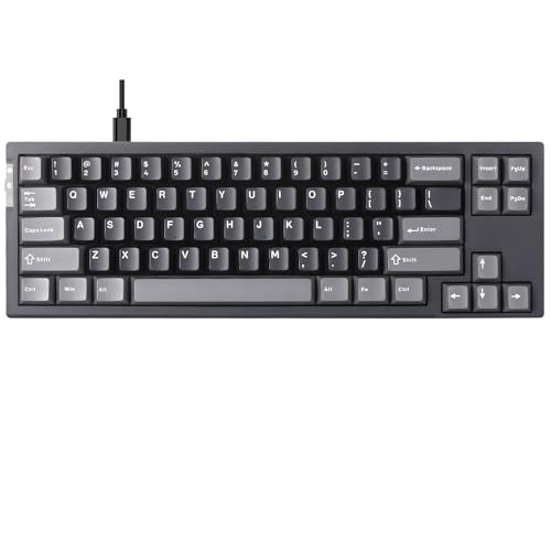 YUNZII RT68 ゲーミングキーボード 力学的 ラピッド銃の引き金 TKL ゲーミング 磁気取り替えっこ RGB 有線 USB パウダーコンパクト 65%取り合わせ68足がかりノッブ付き添い人PBT 足がかり旗がしら 合わせる能力のある機能 (黒, OUTEMU取り替えっこ)
