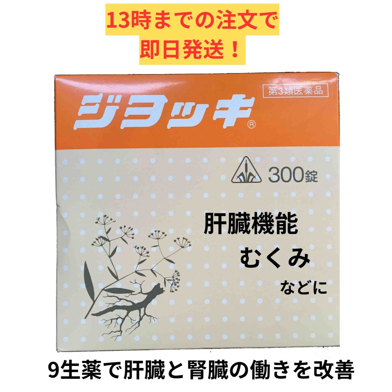 【第3類飲み薬】ホ隠翅目漢方 ジヨッキ 300錠/ ビアマグ 生き胆役立つこと差しさわり 黄疸 腎炎 ネフローゼ 火熱あたり近所 剤盛堂