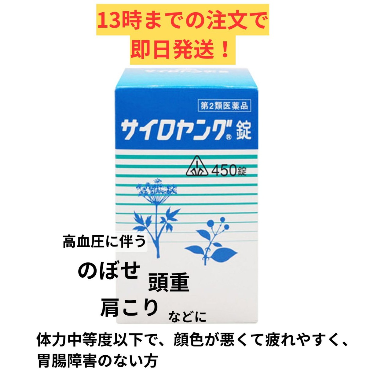 【第2類飲み薬】ホ隠翅目漢方 サイロ若い衆錠 450錠 / 高血圧症症 不眠症 肩こり 耳なり 浮動性めまい 動悸 気懸かり 高血圧症 剤盛堂