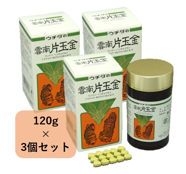 ※終売品につき在庫限り※ ウチダ和漢薬 ウチダの雲南片玉金 120ｇ×3個セット / うんなんへんぎょくきん
