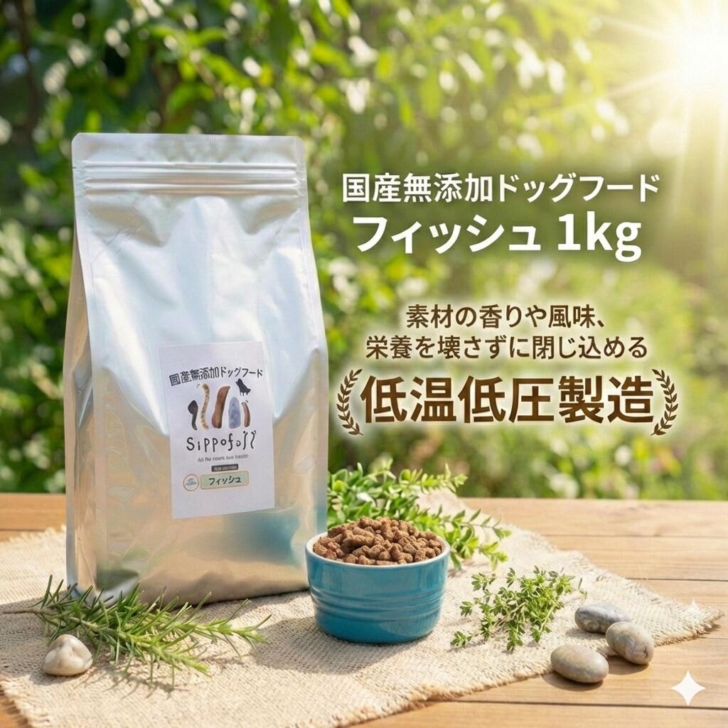 お得な複数形点買いもとめる割り引き（最大限度18％）について