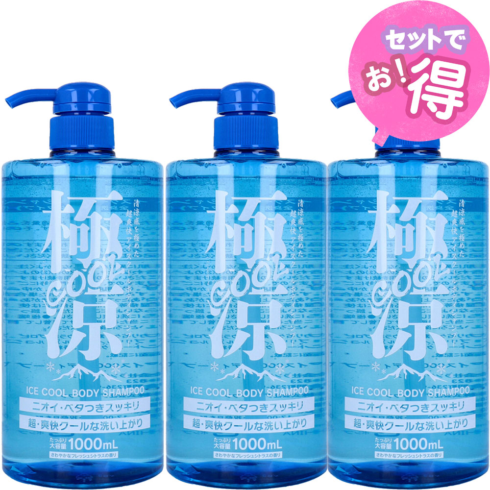 楽天市場】【nk】 極涼 アイス ボディシャンプー (1000mL