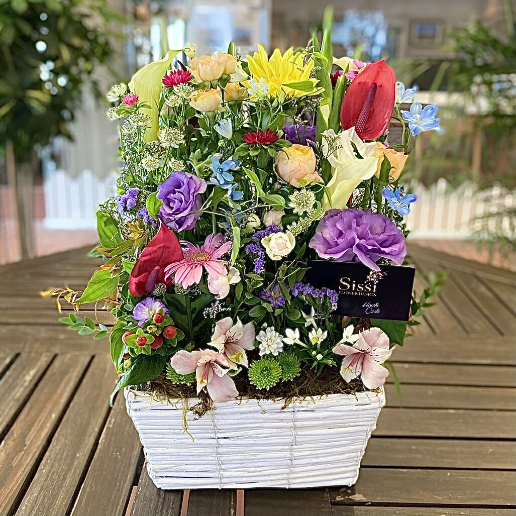 国内在庫 冷蔵便 でお届け あす楽12時まで 開店祝い パラレルアレンジメント Sサイズ オシャレ 誕生日 送料無料 生花 開店 開業 季節の花 生花アレンジ 花 ギフト おしゃれ 女性 母 祖母 お祝い フラワーギフト お花 妻 快気祝い 退職祝い 男性 かっこいい Fucoa Cl