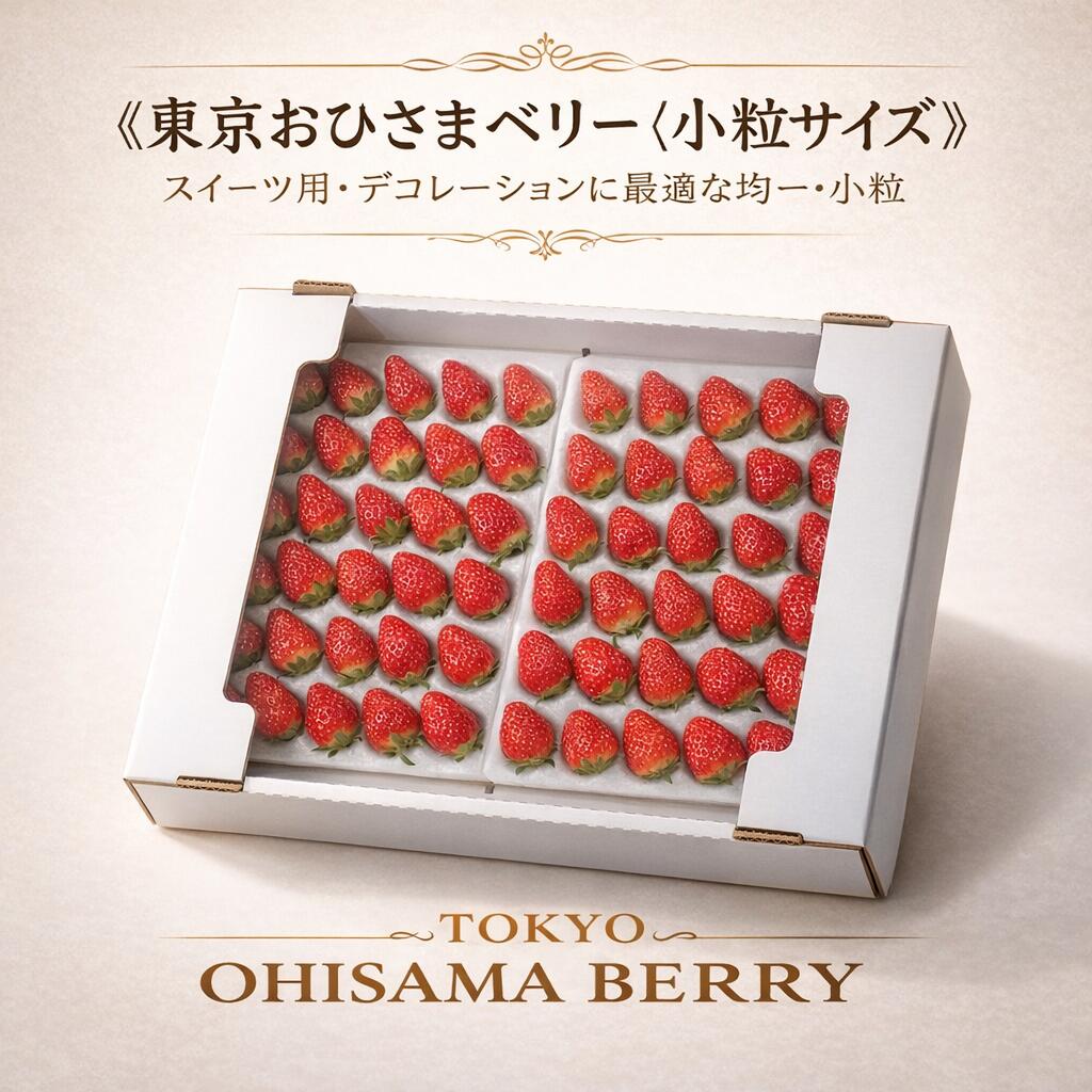 【今ならクーポン利用で20％OFF】小粒いちご「東京おひさまベリー」2パック～ (20～30粒入り／１パックあたり）（約250g／１パックあたり）【送料無料】 イチゴ 苺 ギフト スイーツ 果物 プレゼント 贈り物 お礼品／入学祝、入社祝、新生活、お花見、こどもの日、母の日