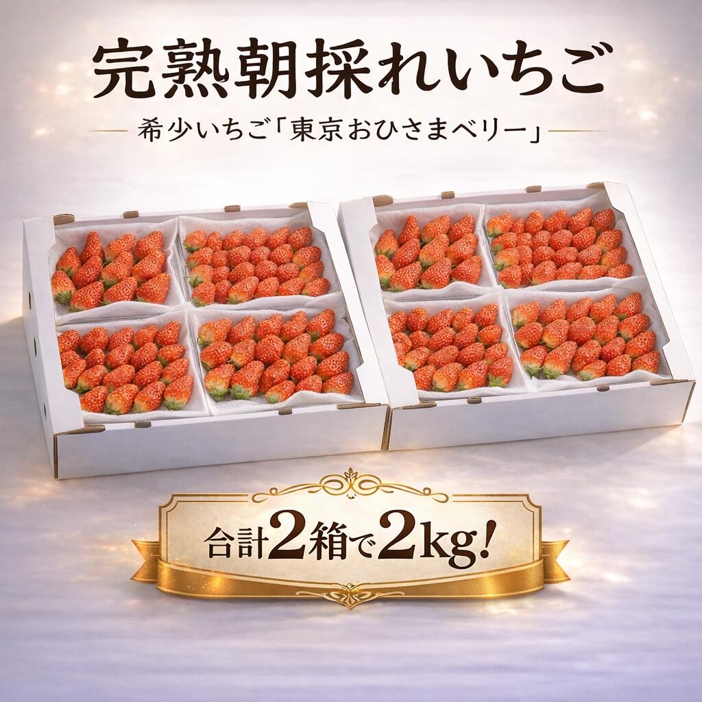 【今ならクーポン利用で10％OFF】完熟朝採りいちご「東京おひさまベリー」(合計２箱で２kgの大容量)【送料無料】 東京生まれ イチゴ 苺 ギフト スイーツ 果物 プレゼント 誕生日／入学祝、入社祝、新生活、お花見、こどもの日、母の日