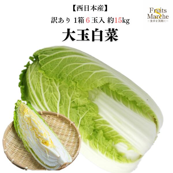 玉の白菜 楽天市場】【送料無料】【産地厳選】白菜 6玉入り 大玉 約15kg(北海道