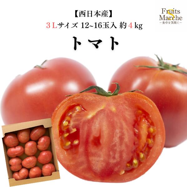 楽天市場】近年高価です！桃太郎トマト約2K箱【L〜2Lサイズ】岐阜