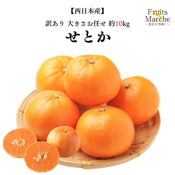 【送料無料】【西日本産】訳あり　せとか　大きさお任せ　約10kg(北海道沖縄別途送料加算)