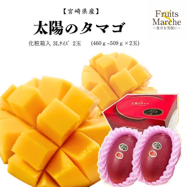 【送料無料】【宮崎県産】太陽のタマゴ 化粧箱入 3Lサイズ2玉（460ｇ～509ｇ×2玉）(北海道沖縄別途送料加算)