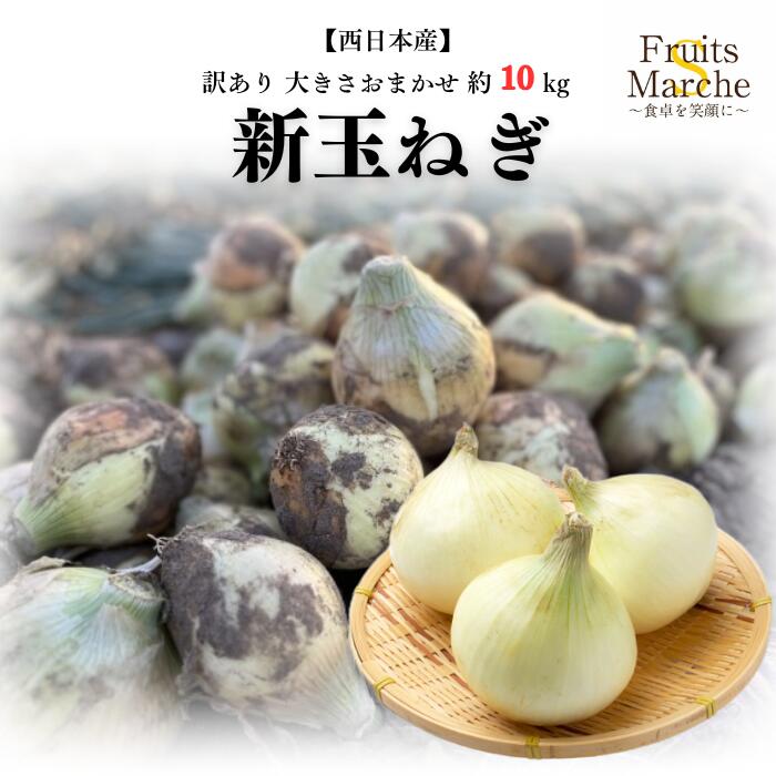 3 新玉ねぎ　浜松産　黄玉　１１キロ 楽天市場】【たまねぎ】【玉ねぎ】【浜松篠原産】【無選別】最旬