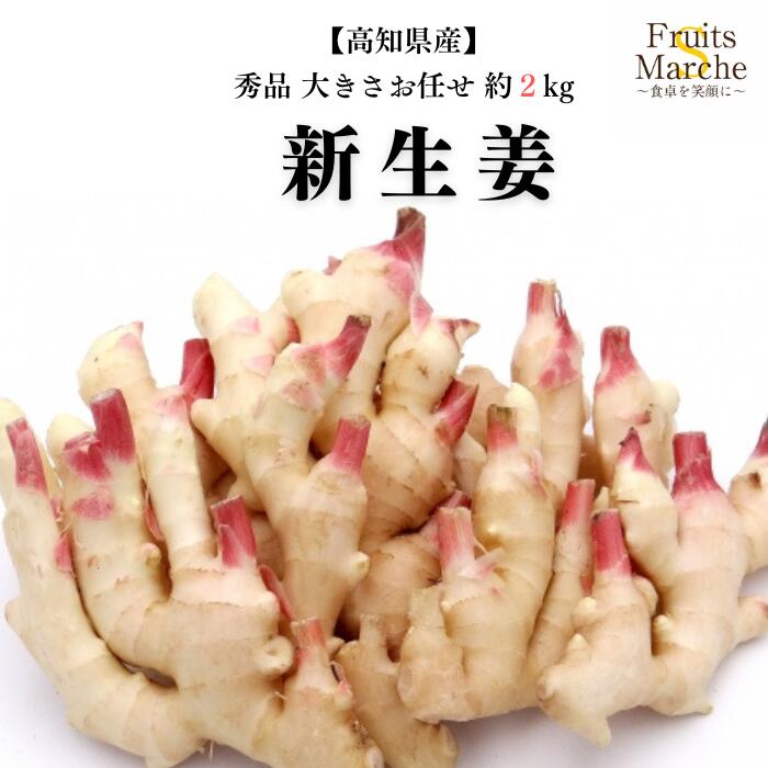 新生姜　薬味　おすすめ　箱込　124 新生姜 薬味 おすすめ 箱込 124 お得な12個セット】やみつき 岩下の