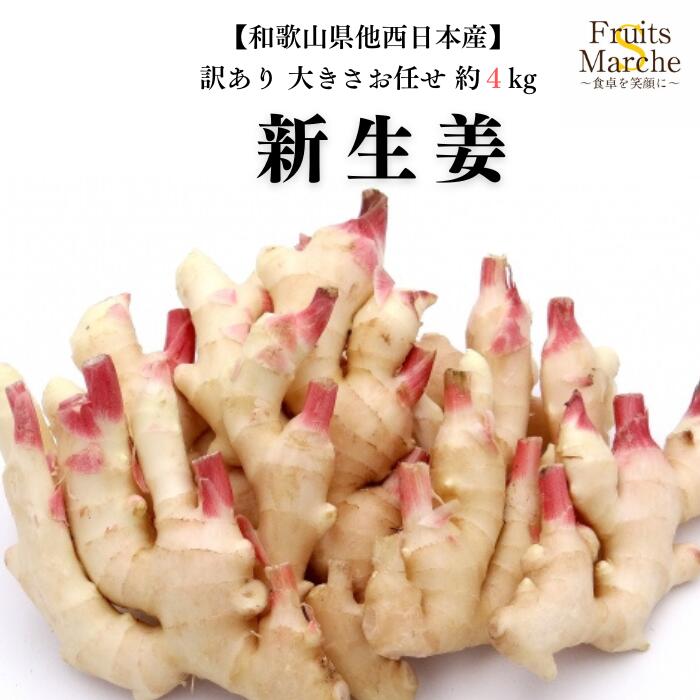 楽天市場】【送料無料！】新生姜 高知 2kg 秀品 大きさお任せ 新