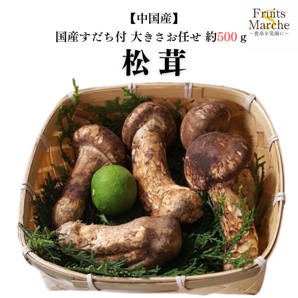 楽天市場】中国雲南省産 天然生松茸 マツタケ 生 天然まつたけ 開き方