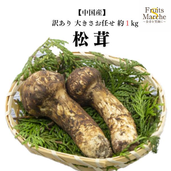 送料無料】【中国産】訳あり 松茸 原体 大きさお任せ 約1kg(北海道