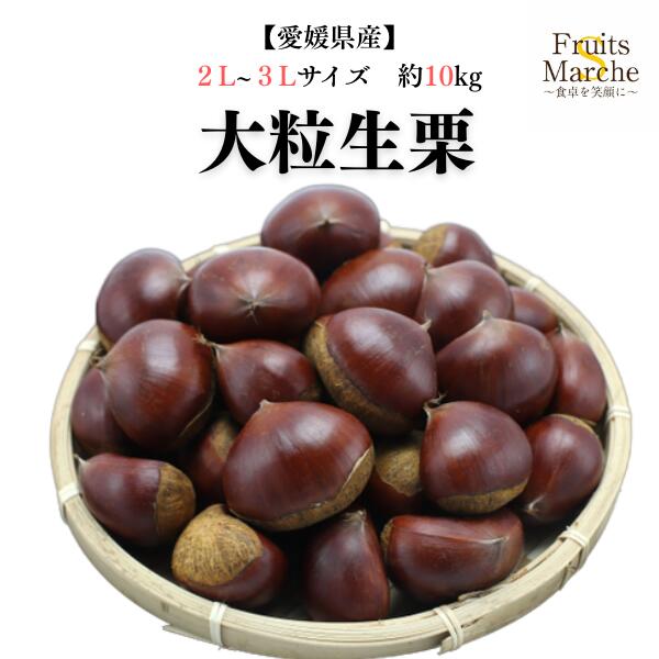 楽天市場】大人気栗の入荷**【秋季限定】筑波栗つくばくり(中生)*特大