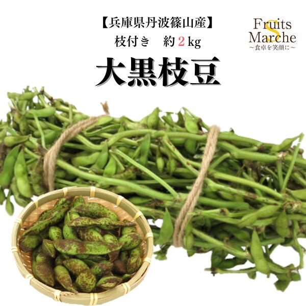 枝豆　黒豆 楽天市場】【送料無料！】枝付き大粒黒豆枝豆 黒枝豆 黒豆枝豆 枝豆 枝