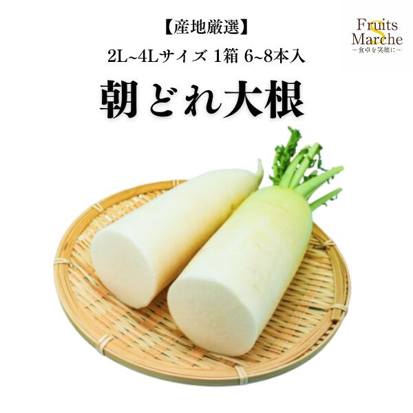 楽天市場】【送料無料】 長崎県産他 大根 （だいこん） 2L〜3Lサイズ 7