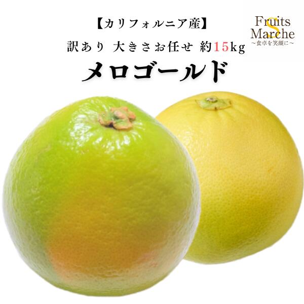 【送料無料】メロゴールド グレープフルーツ 大きさお任せ 約15kg 訳あり メローゴールド アメリカ カリフォルニア産 送料無料（北海道・沖縄県は別途送料加算）
