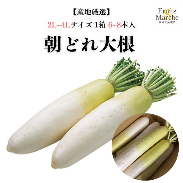 楽天市場】【送料無料】北海道産 大根（だいこん）A等級 L〜2Lサイズ 8