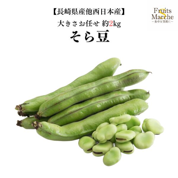 楽天市場】【送料無料】【長崎県産他西日本産】そら豆 大きさおまかせ