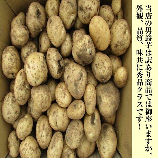 高質 男爵芋 L〜2Lサイズ 約10kg 北海道沖縄離島別途送料加算 members.digmywell.com