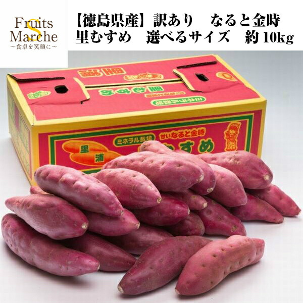 【送料無料！】なると金時 里むすめ さつまいも 選べるサイズ 約10kg 鳴門金時 徳島県産  送料無料（北海道・沖縄県は別途送料加算）