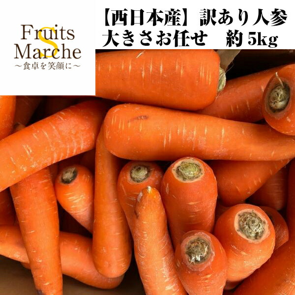 送料無料 西日本産 お手頃価格 訳あり 絶対一番安い 人参 北海道沖縄別途送料加算 約5kg 大きさお任せ