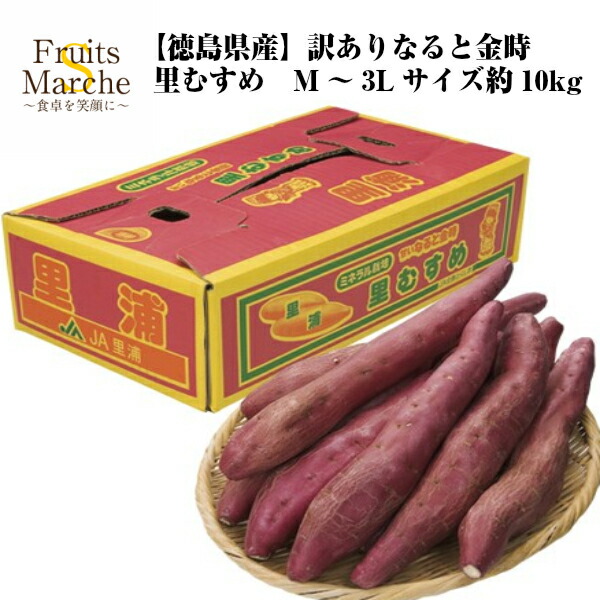 【送料無料！】なると金時 里むすめ さつまいも M～3Lサイズ 約10kg 訳あり 鳴門金時 徳島県産  送料無料（北海道・沖縄県は別途送料加算）