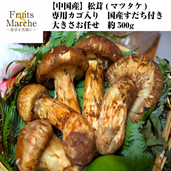 信州産　松茸　傘開き2本　250g 信州産 松茸 傘開き2本 250gの通販 by 841986's shop｜ラクマ