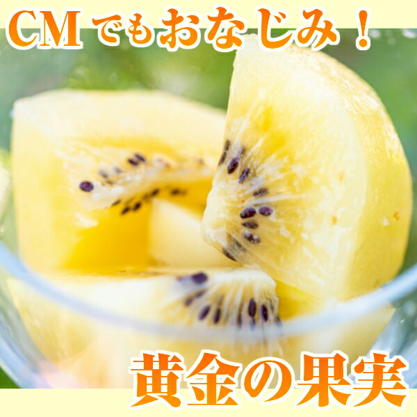 市場 送料無料 サンゴールドキウイフルーツ ニュージーランド産 ゼスプリ