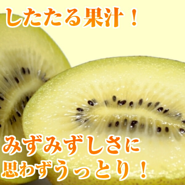 市場 送料無料 サンゴールドキウイフルーツ ニュージーランド産 ゼスプリ
