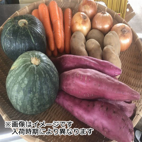 市場 送料無料 西日本産 土物野菜詰め合わせセット5品