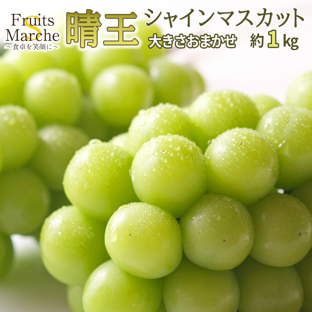 晴王シャインマスカット 大きさお任せ 約1kg(北海道沖縄別途送料加算)