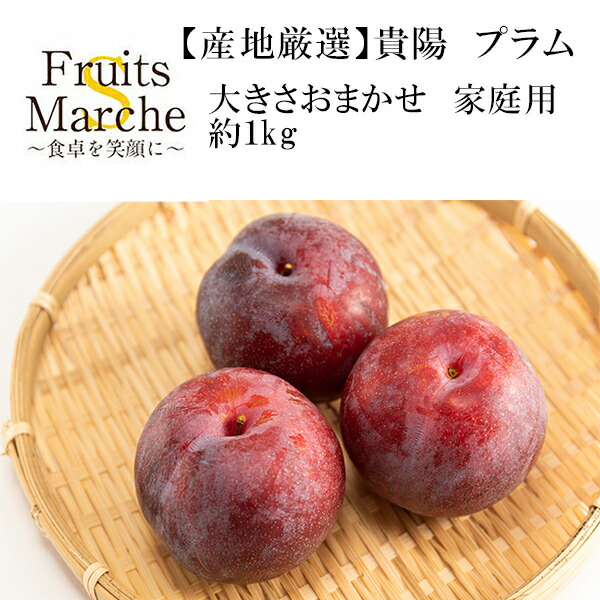 楽天市場 すもも プラム 貴陽 きよう 約2 5kg 12個前後入り 山梨産 李 京の老舗の果物屋 鳥羽伊三