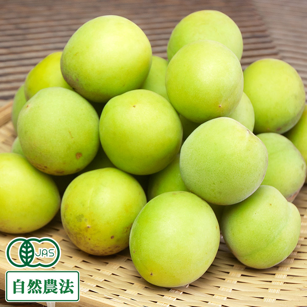 【予約商品】 梅酒用梅セット 4kg 有機JAS (神奈川県小田原自然園いしわた農場) 産地直送
