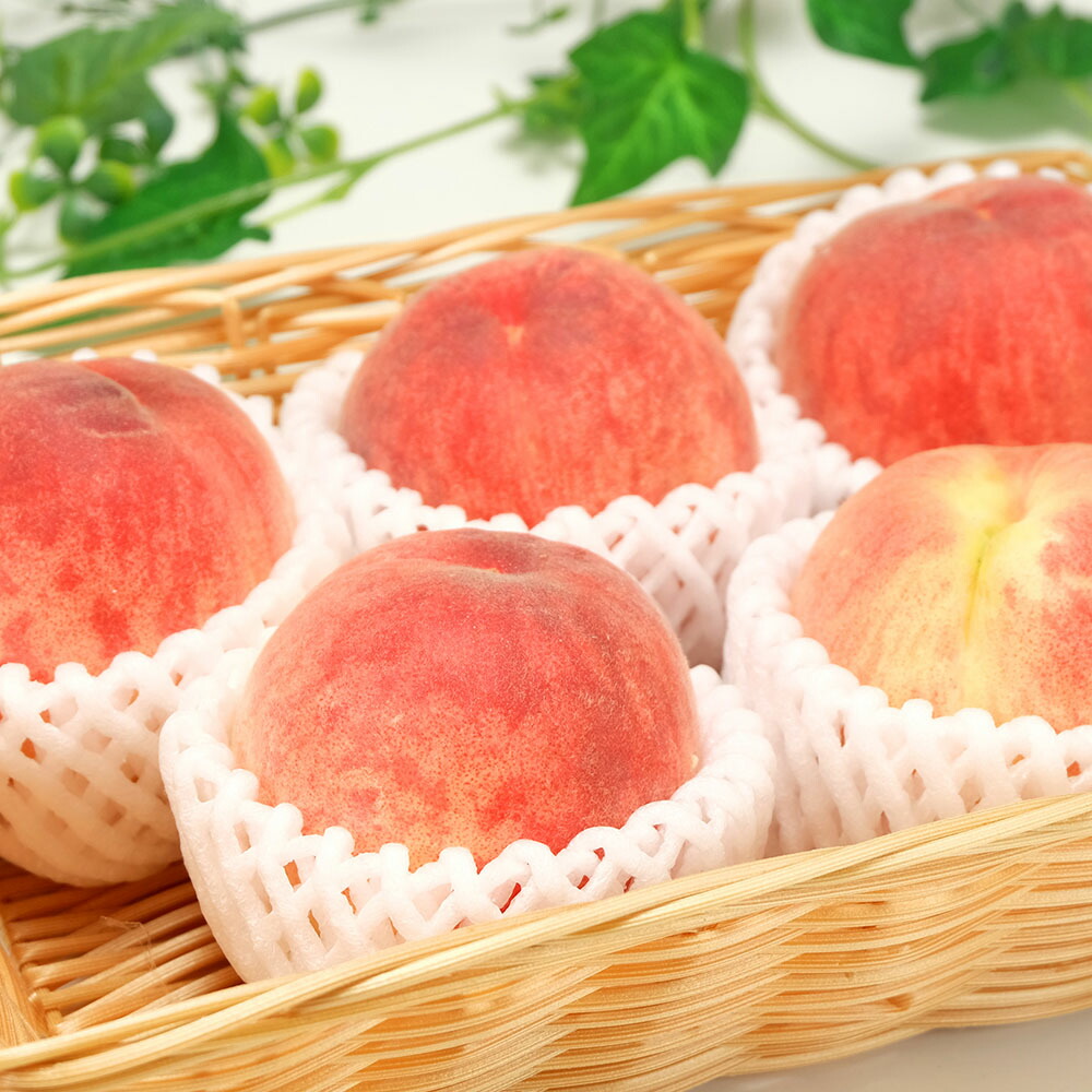 【先行予約】桃 白桃 約1.8kg×2箱 (山梨県 フルヤ農園) 産地直送|ふるさと21